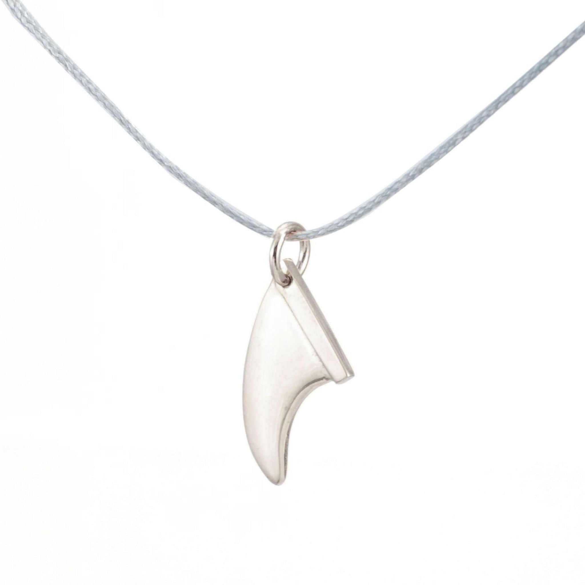 Silver and Surf