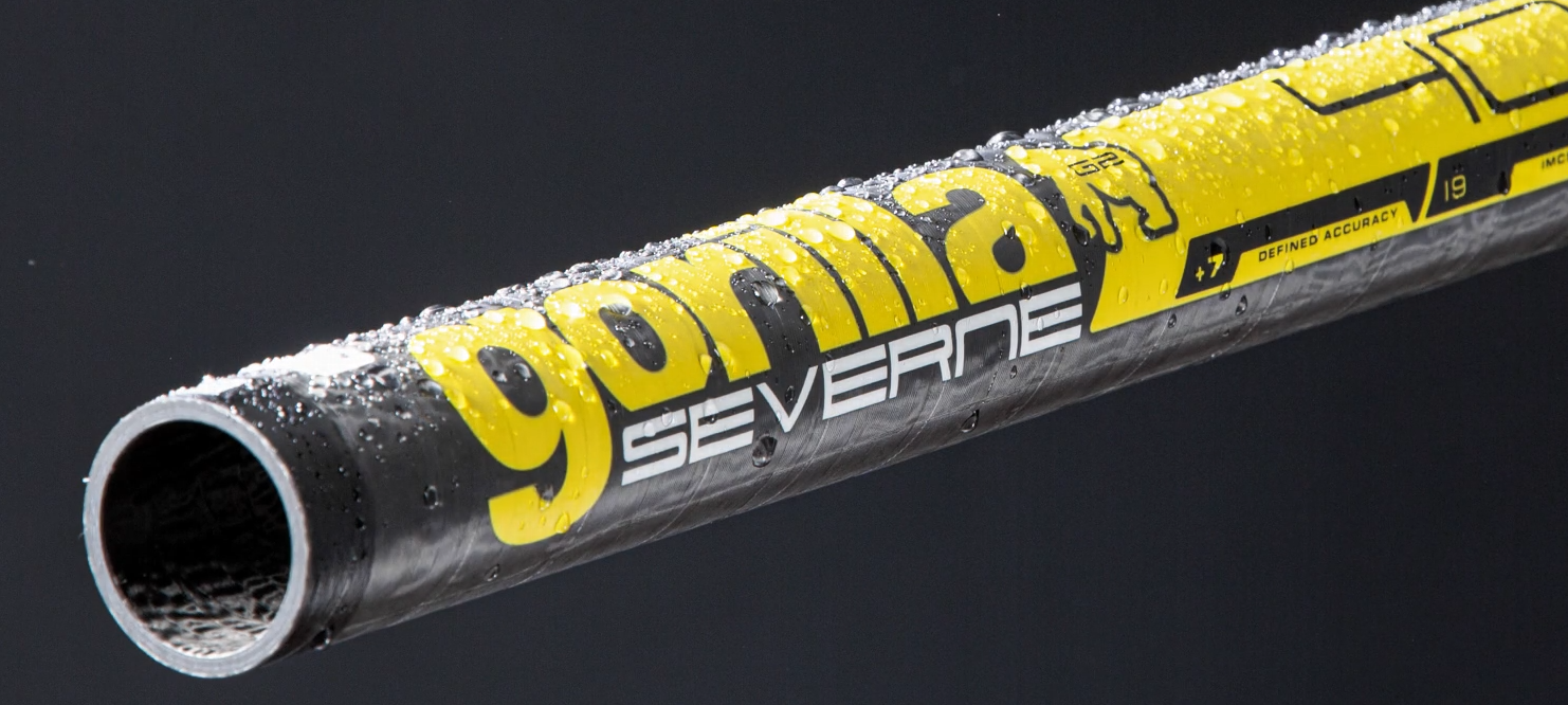 Masts Windsurfen
