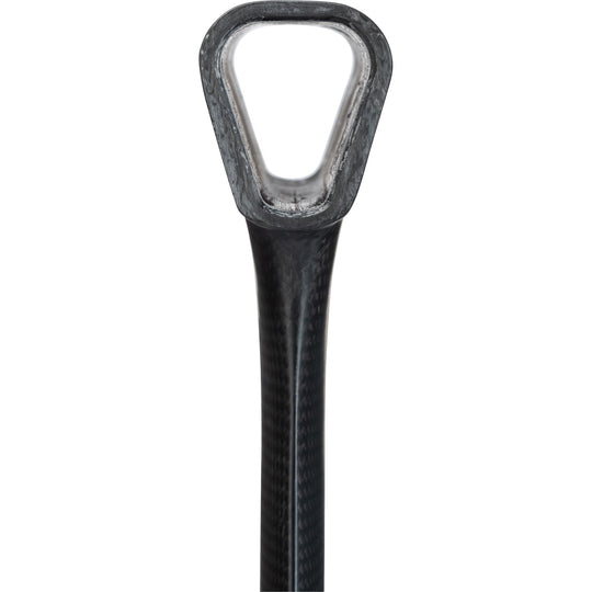 One-Lock HM Carbon Mast