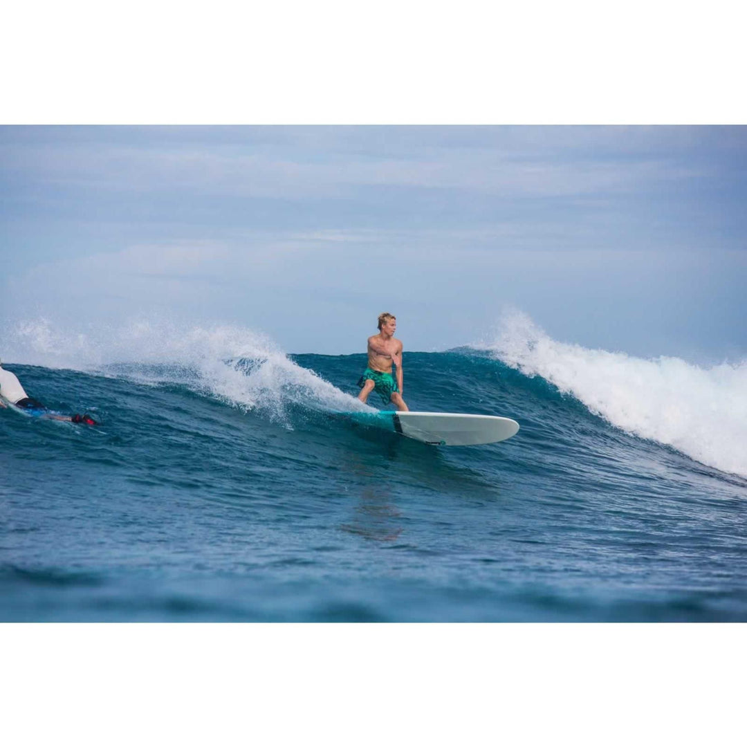 Surfboard TORQ TET 9.6 Longboard Marine Blue