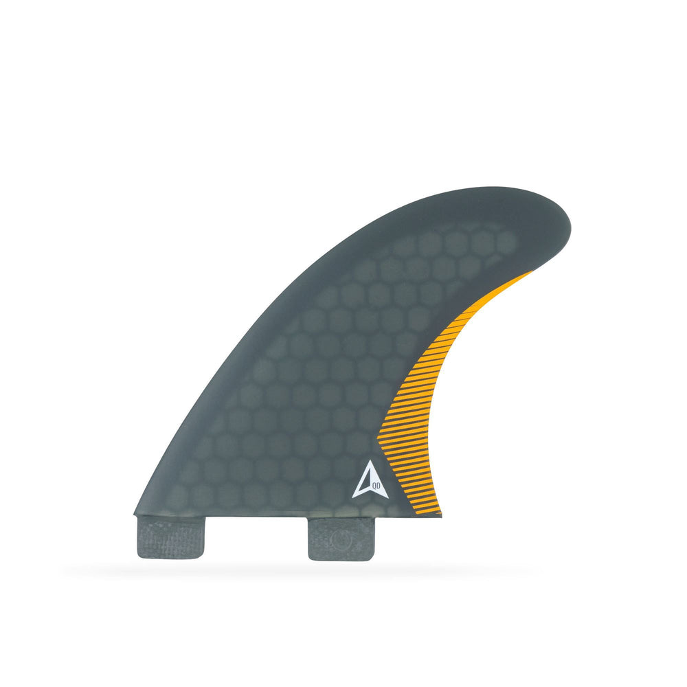 ROAM Quad Rear Fin set two tab