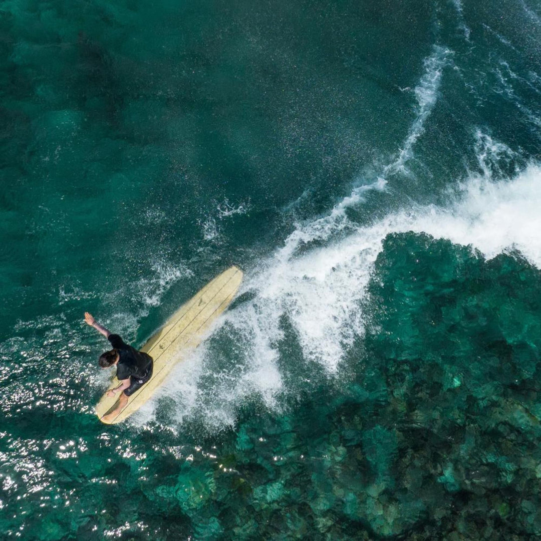 Surfboard TORQ TEC Delpero Classic