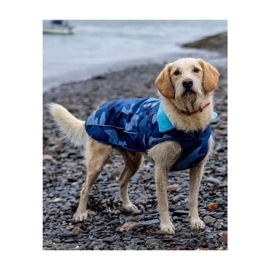 DRYROBE Dog Coat Hundemantel Blue Camo Dogs