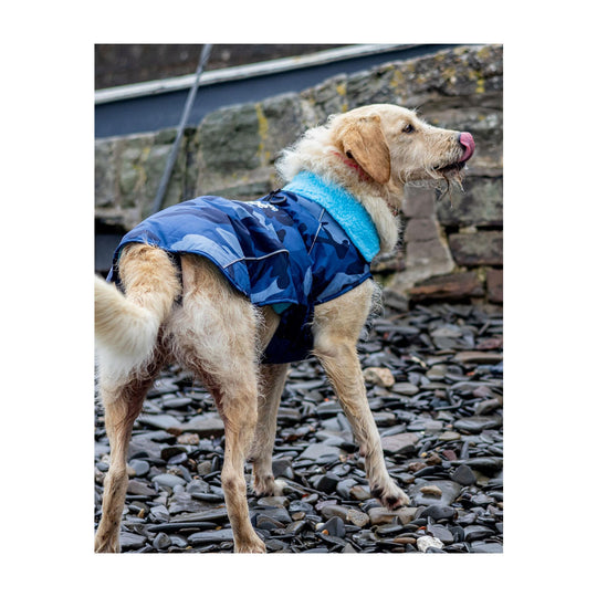DRYROBE Dog Coat Hundemantel Blue Camo Dogs