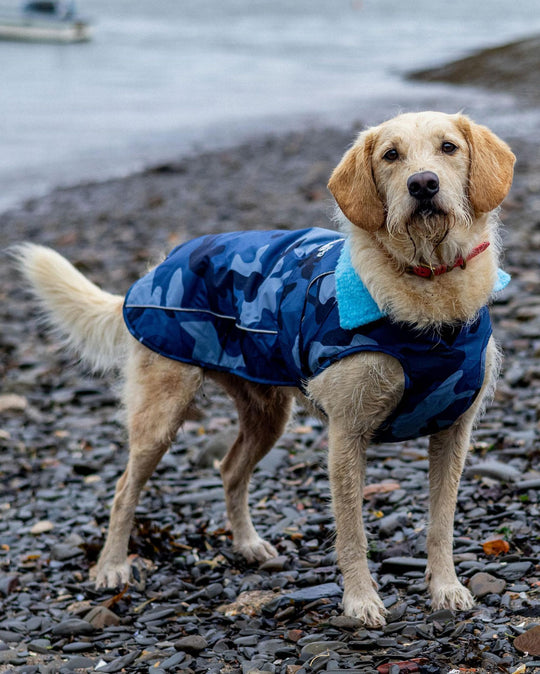 DRYROBE Dog Coat Hundemantel
