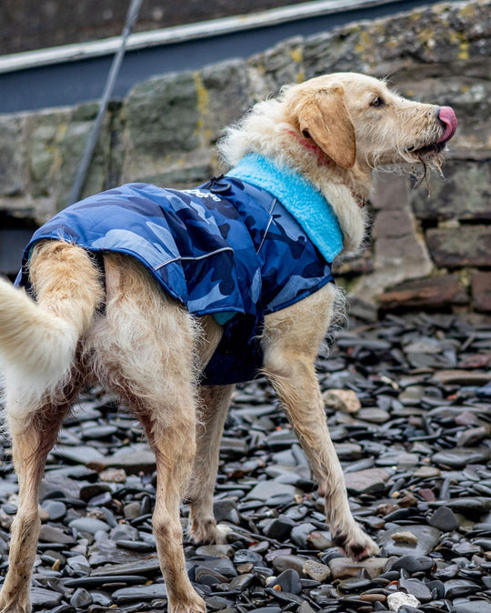 DRYROBE Dog Coat Hundemantel
