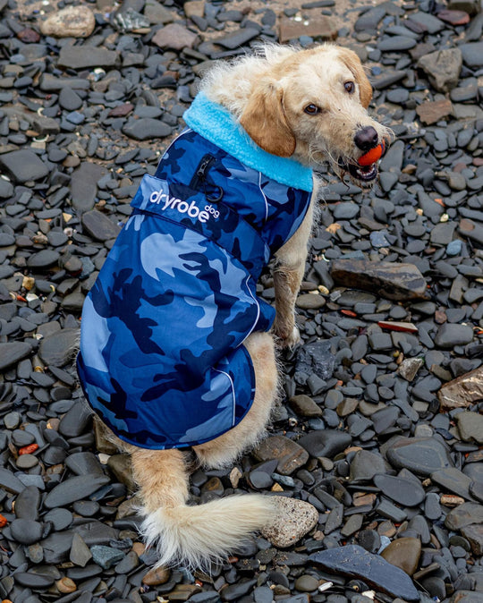 DRYROBE Dog Coat Hundemantel