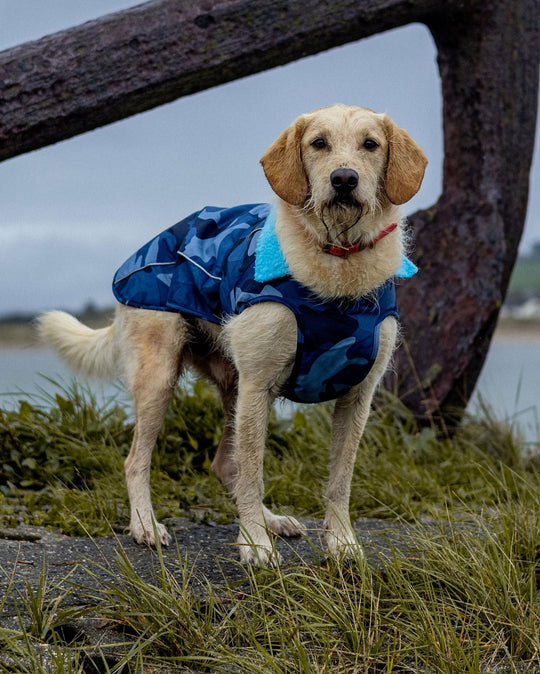 DRYROBE Dog Coat Hundemantel