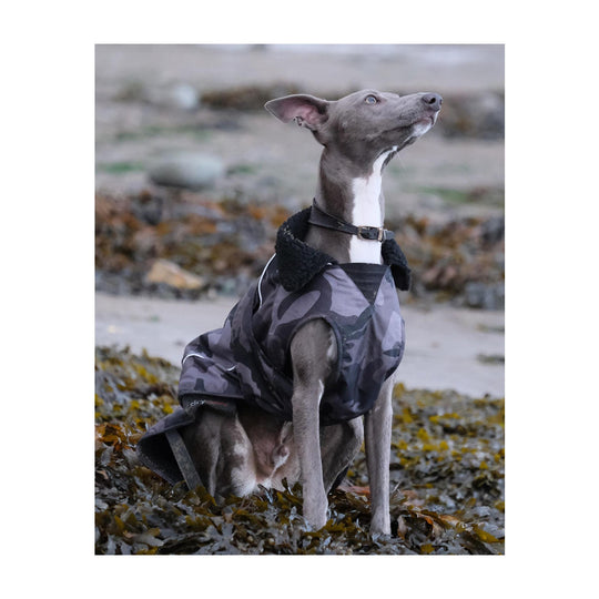 DRYROBE Dog Coat Hundemantel Black Camo Dogs