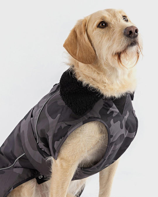 DRYROBE Dog Coat Hundemantel
