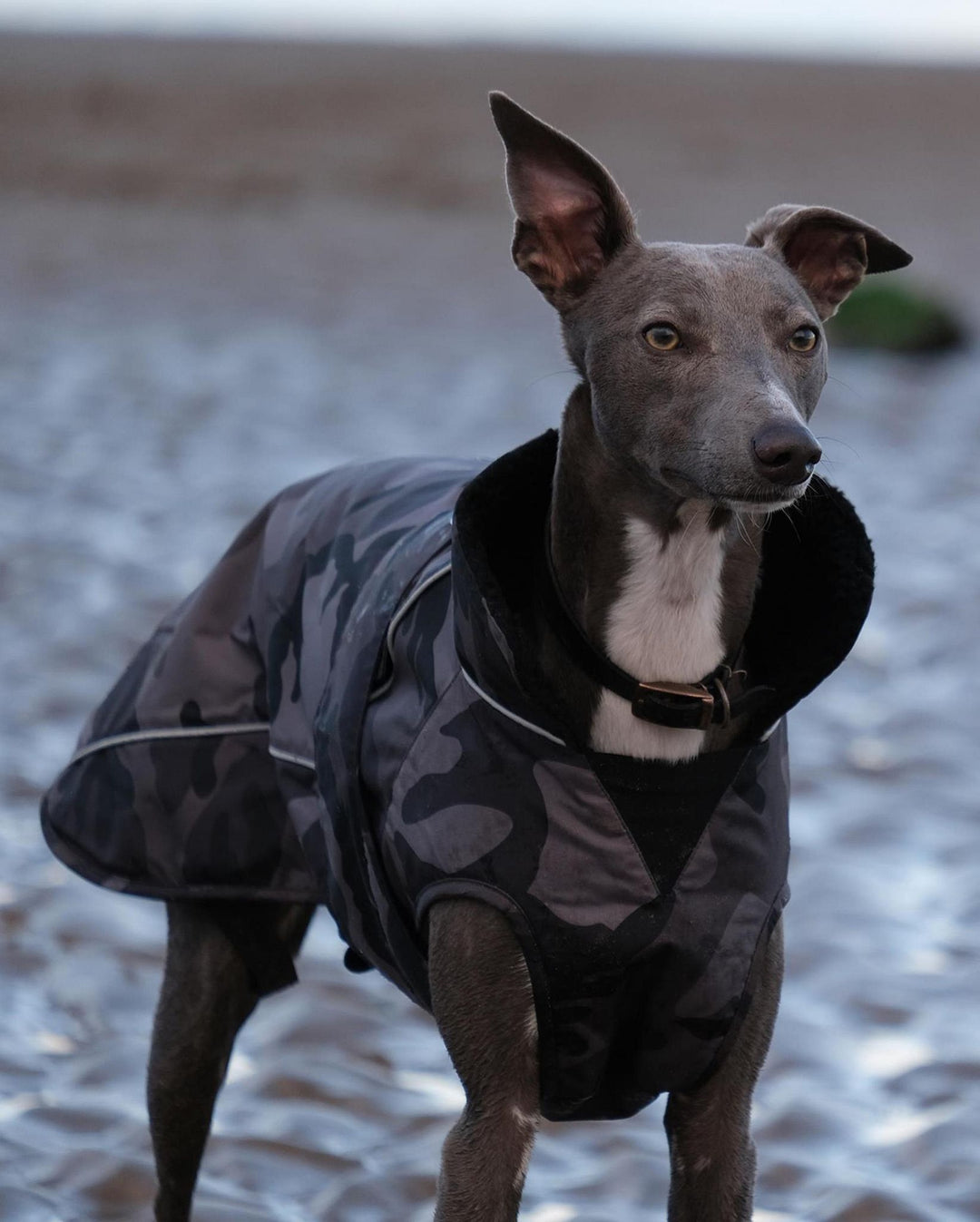 DRYROBE Dog Coat Hundemantel