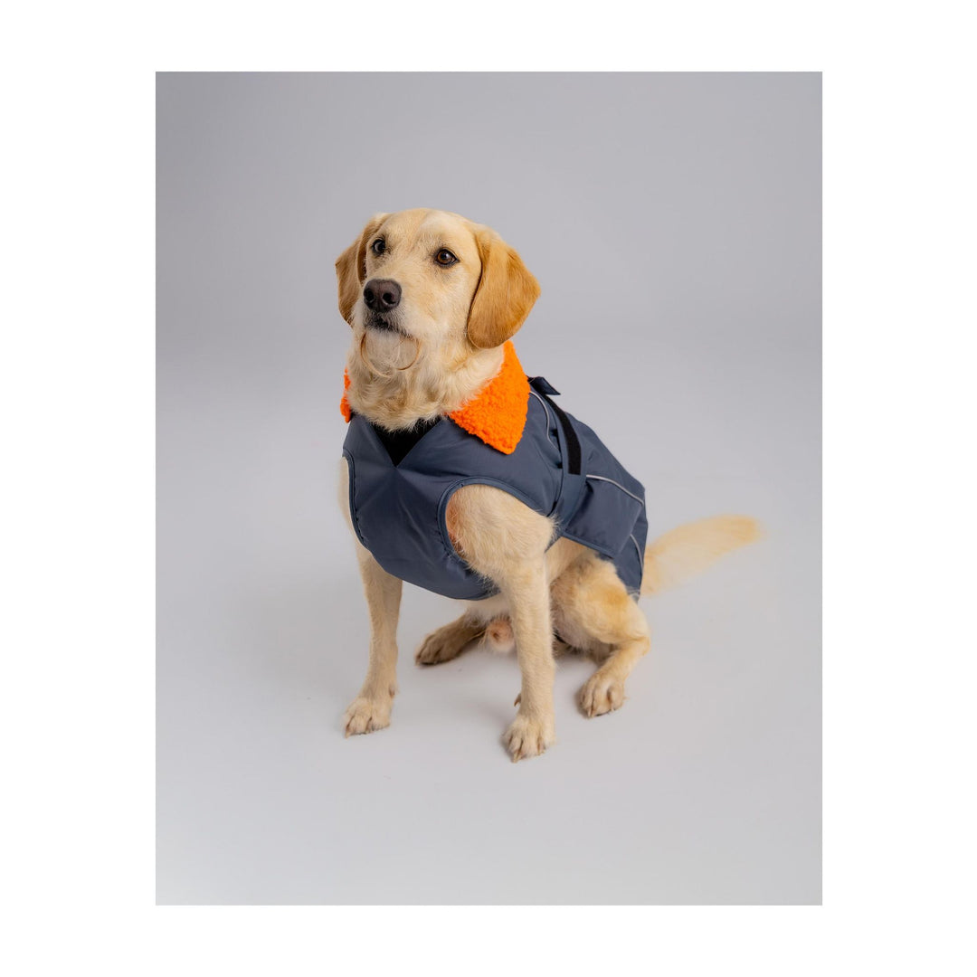 DRYROBE Dog Coat Hundemantel Grey Orange Dogs