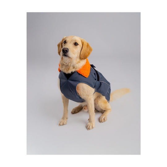 DRYROBE Dog Coat Hundemantel Grey Orange Dogs