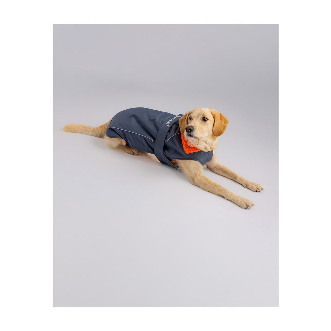 DRYROBE Dog Coat Hundemantel Grey Orange Dogs