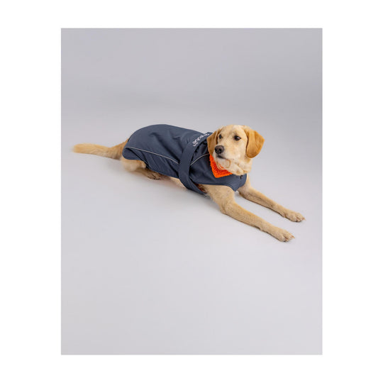 DRYROBE Dog Coat Hundemantel Grey Orange Dogs