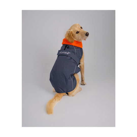 DRYROBE Dog Coat Hundemantel Grey Orange Dogs