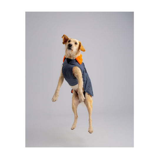 DRYROBE Dog Coat Hundemantel Grey Orange Dogs