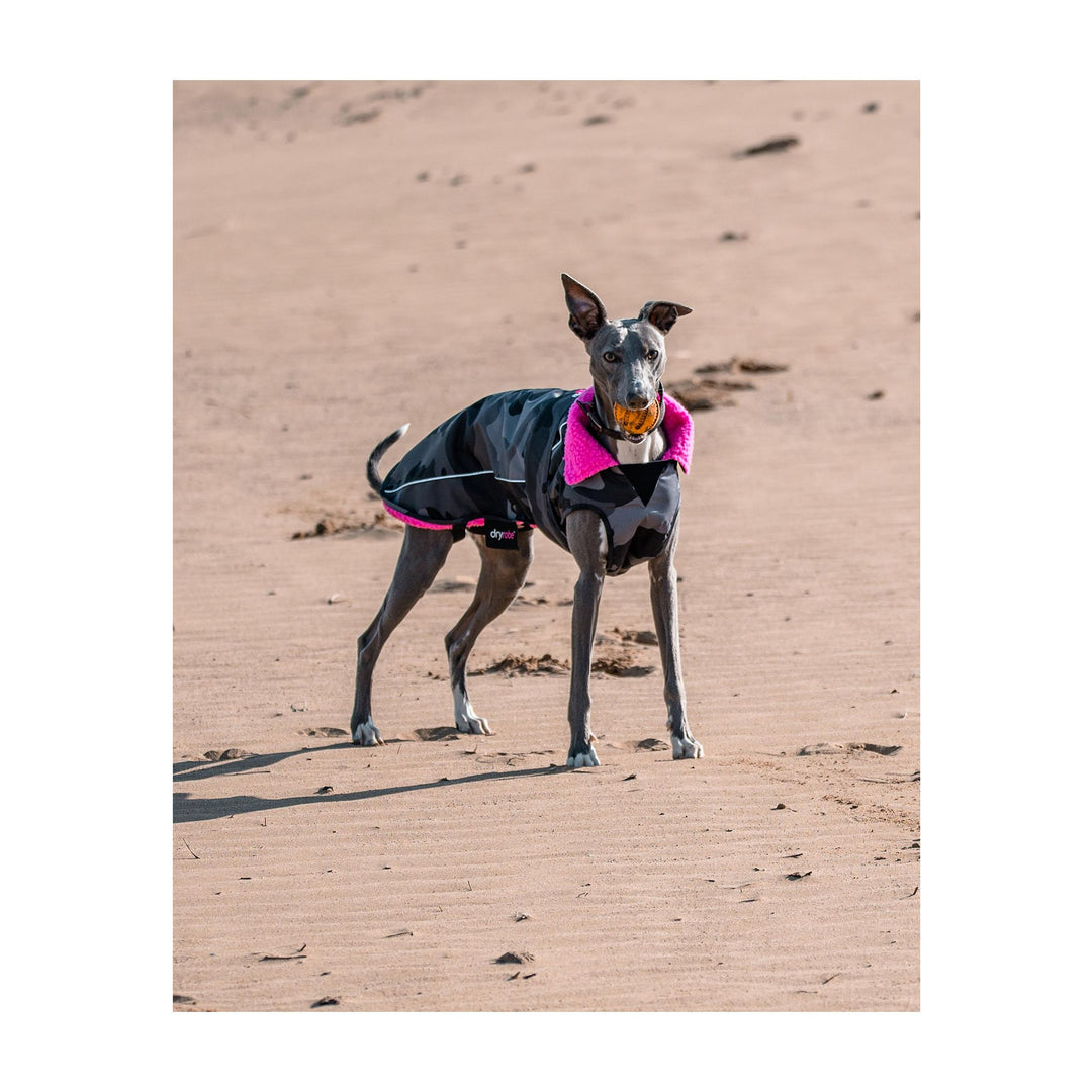 DRYROBE Dog Coat Hundemantel Black Camo Pink Dogs