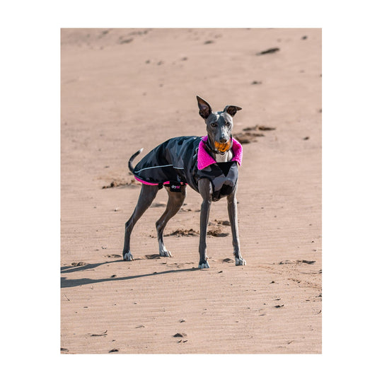 DRYROBE Dog Coat Hundemantel Black Camo Pink Dogs