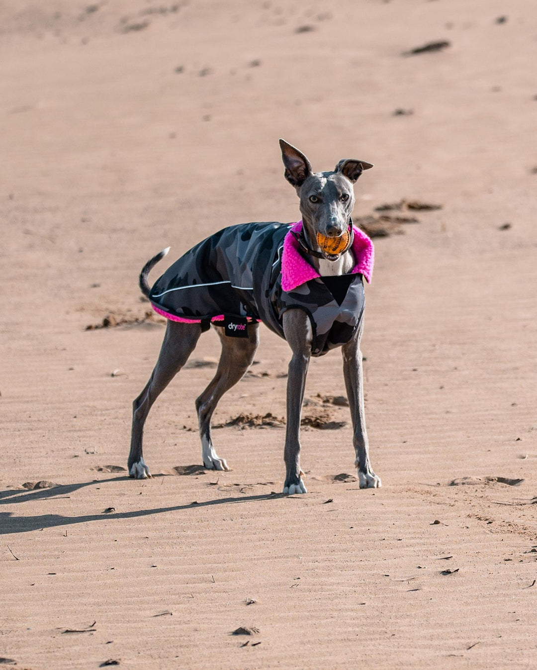 DRYROBE Dog Coat Hundemantel