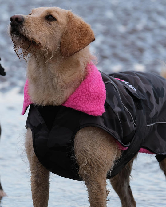 DRYROBE Dog Coat Hundemantel