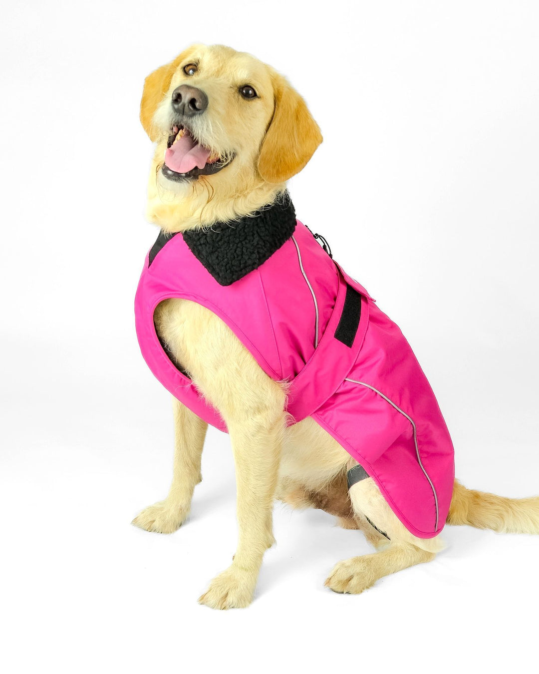 DRYROBE Dog Coat Hundemantel