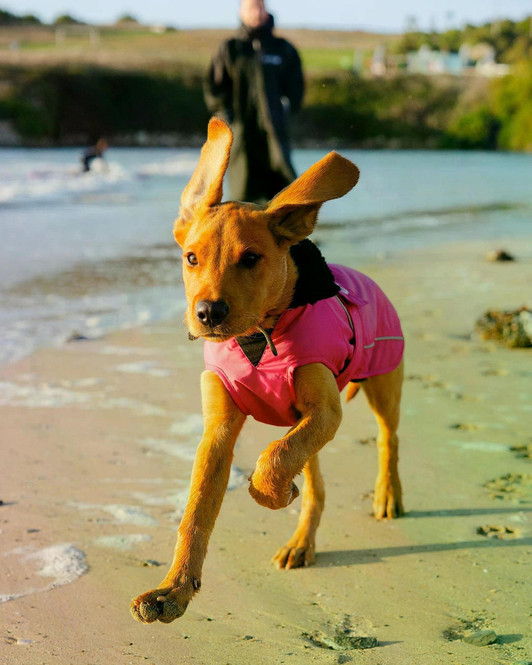 DRYROBE Dog Coat Hundemantel