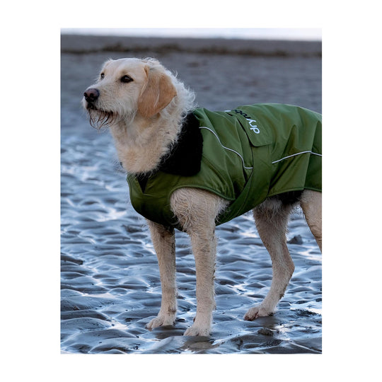 DRYROBE Dog Coat Hundemantel Dark Green Black Dogs