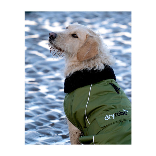 DRYROBE Dog Coat Hundemantel Dark Green Black Dogs