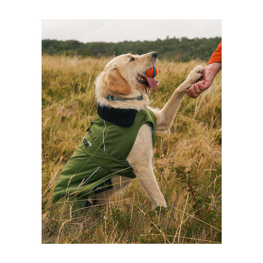 DRYROBE Dog Coat Hundemantel Dark Green Black Dogs