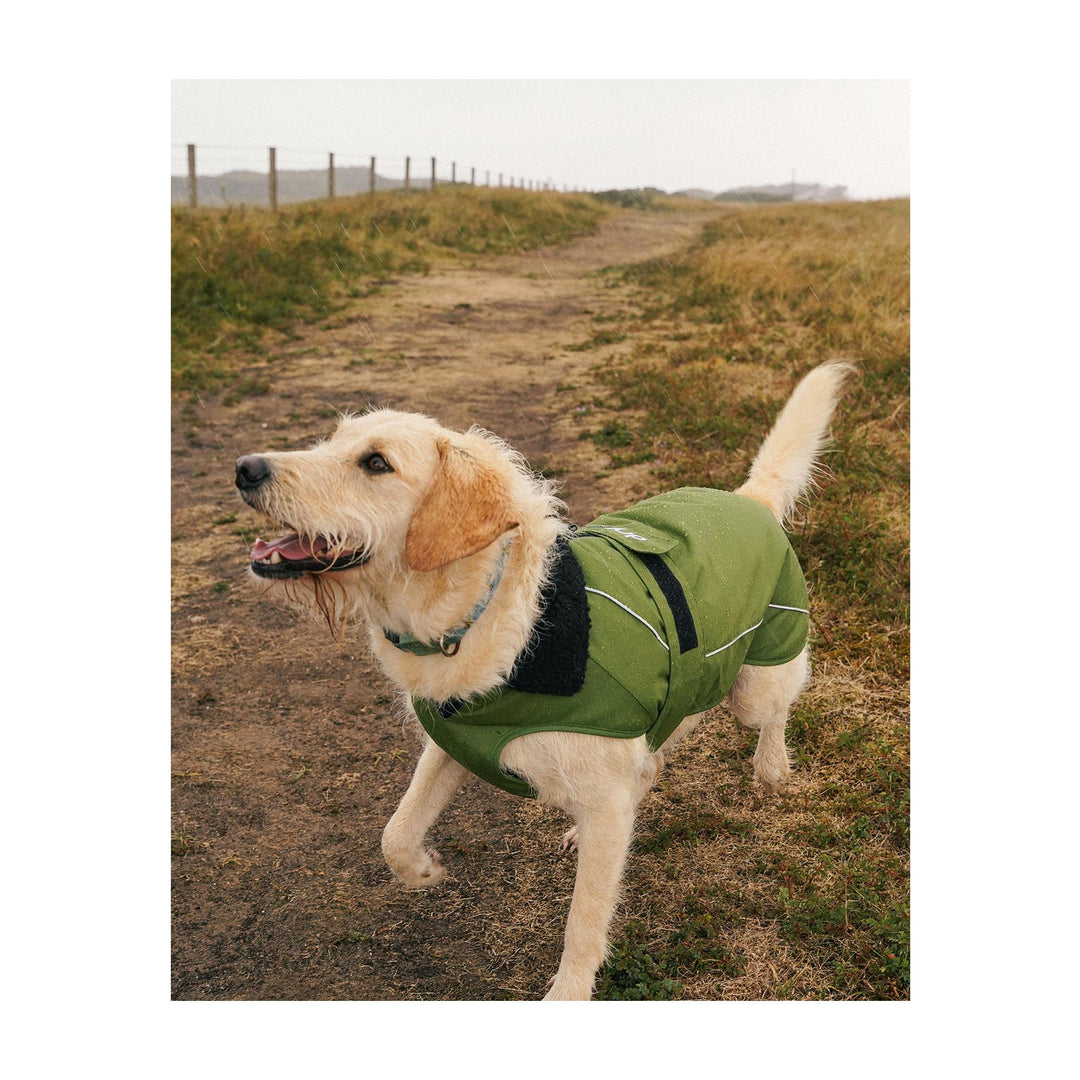 DRYROBE Dog Coat Hundemantel Dark Green Black Dogs