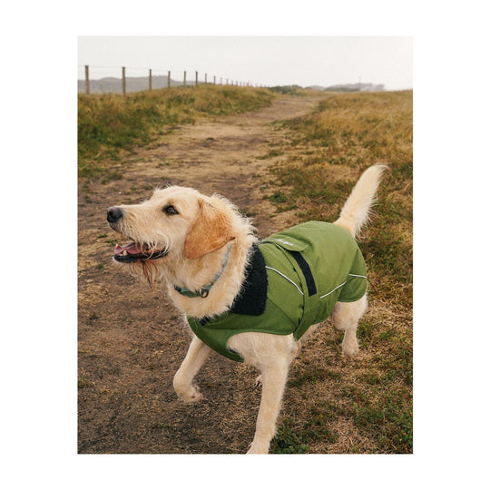 DRYROBE Dog Coat Hundemantel Dark Green Black Dogs
