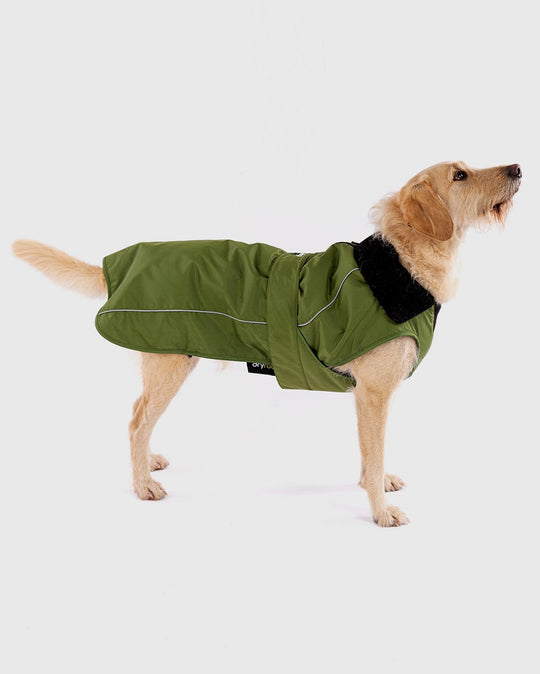 DRYROBE Dog Coat Hundemantel