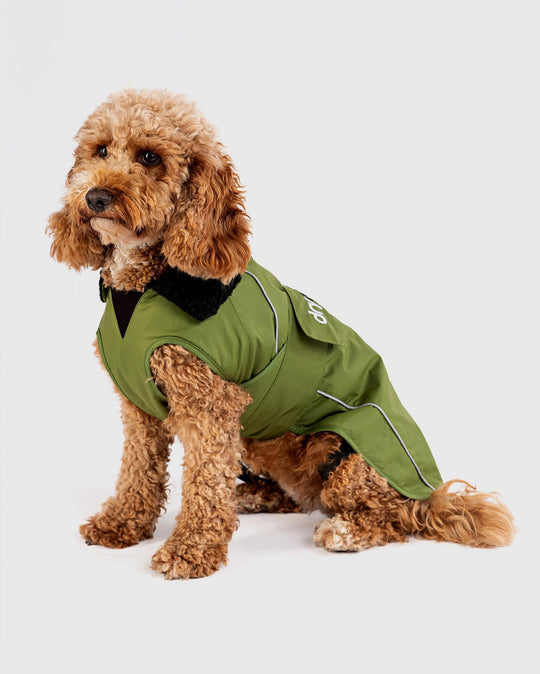 DRYROBE Dog Coat Hundemantel