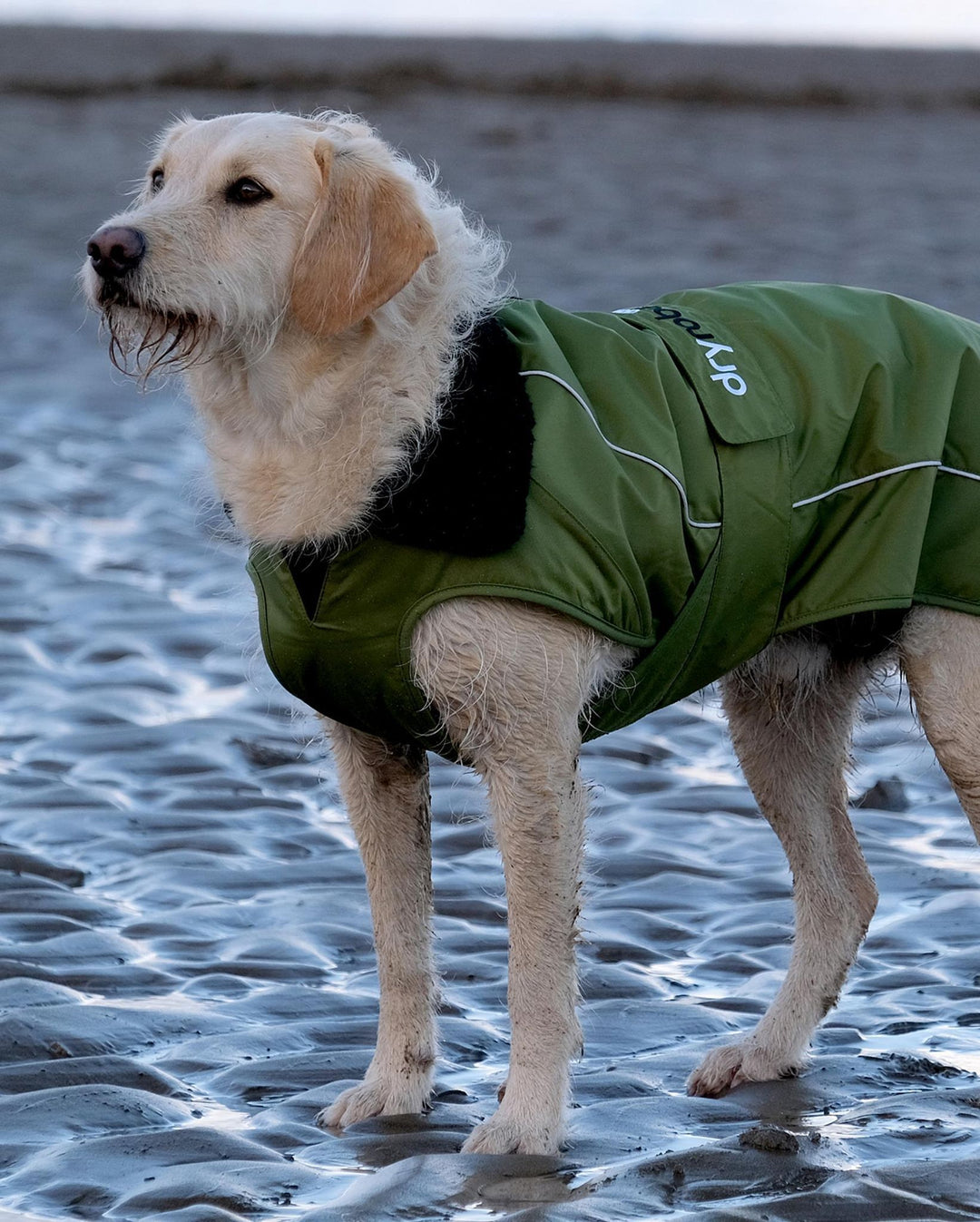 DRYROBE Dog Coat Hundemantel