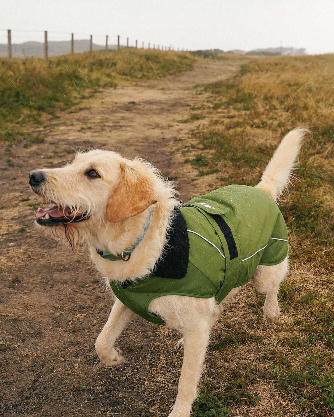 DRYROBE Dog Coat Hundemantel