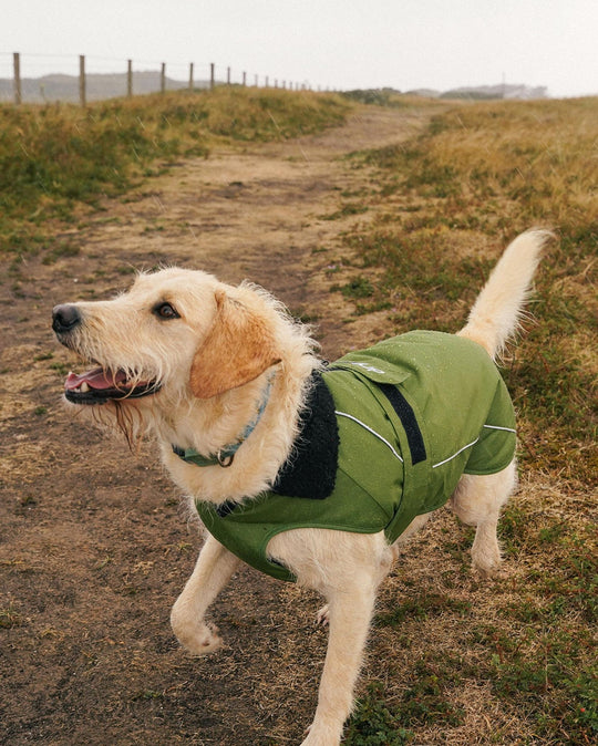 DRYROBE Dog Coat Hundemantel