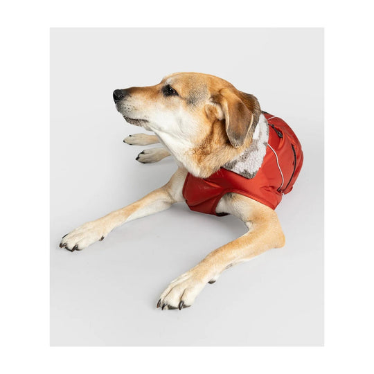 DRYROBE Dog Coat Hundemantel Burnt Orange XXL Dogs