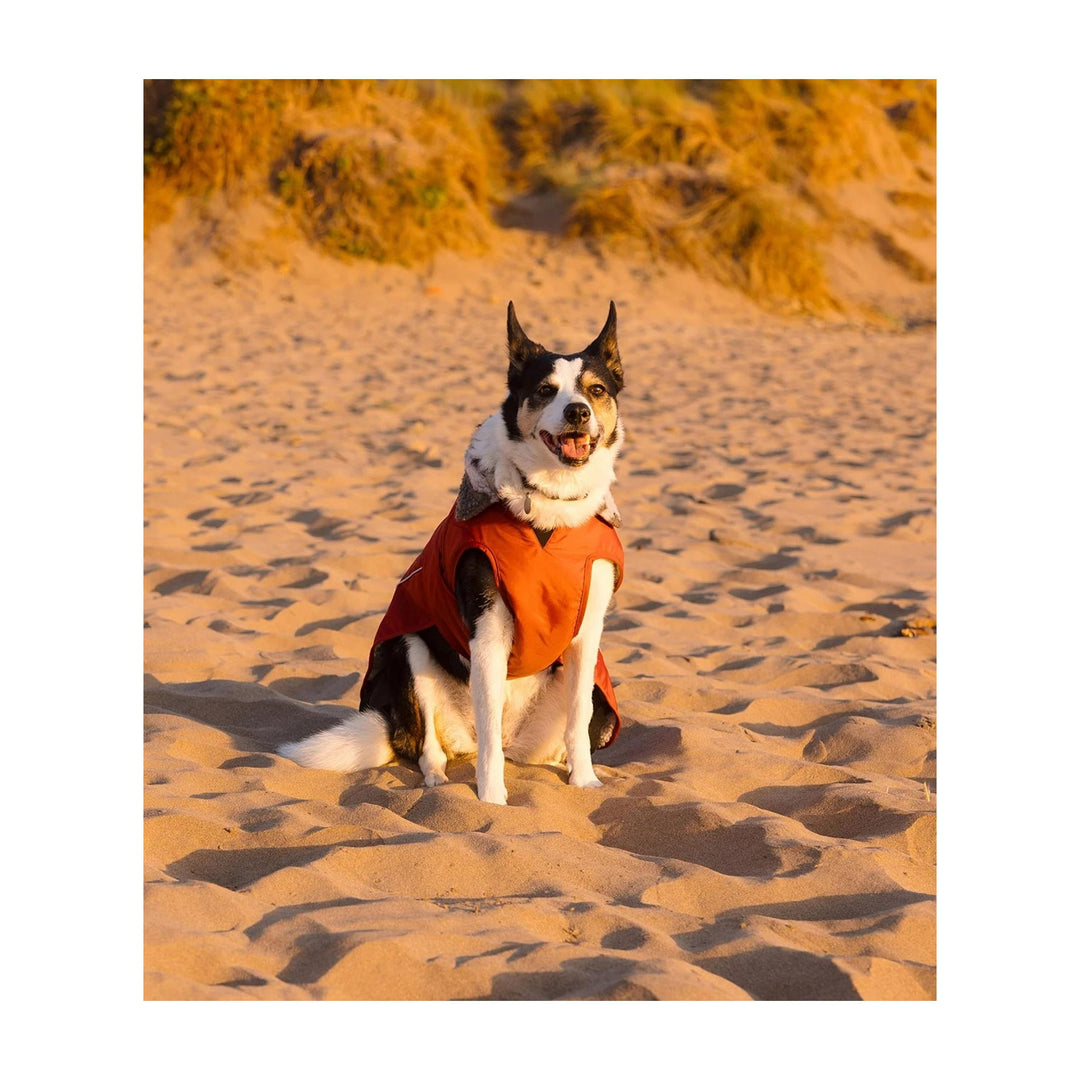 DRYROBE Dog Coat Hundemantel Burnt Orange XXL Dogs