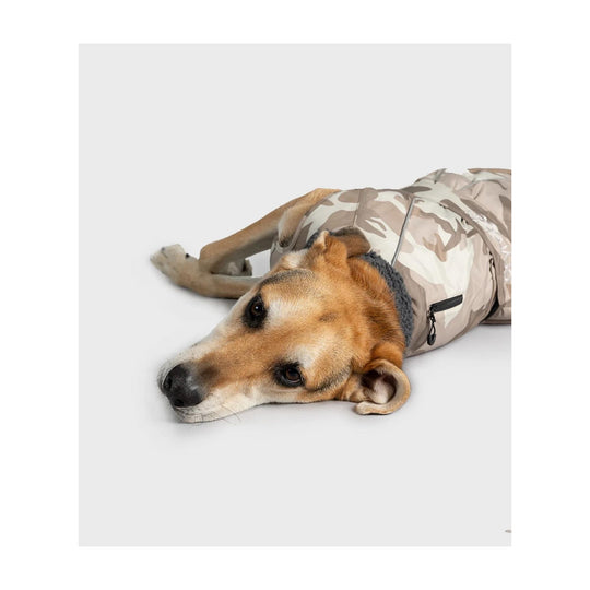 DRYROBE Dog Coat Hundemantel Sand Camo XXL Dogs