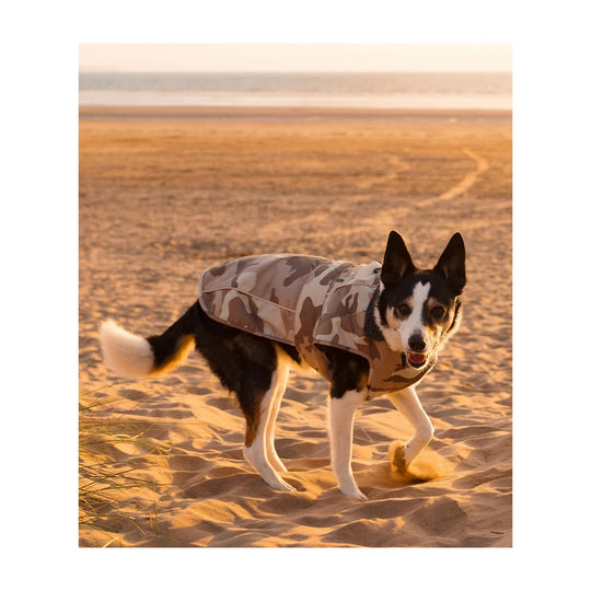 DRYROBE Dog Coat Hundemantel Sand Camo XXL Dogs