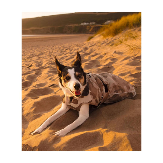 DRYROBE Dog Coat Hundemantel Sand Camo XXL Dogs
